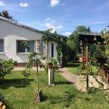 Ferienhaus An Der Selke Meisdorf エクステリア 写真